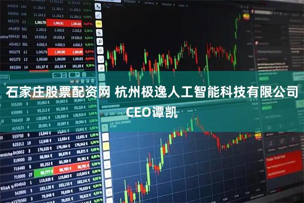 石家庄股票配资网 杭州极逸人工智能科技有限公司CEO谭凯