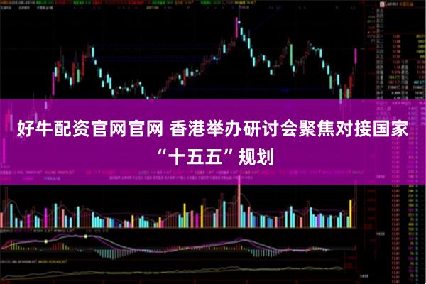 好牛配资官网官网 香港举办研讨会聚焦对接国家“十五五”规划